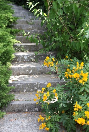 Yellow flowers and steps: Charlotte Moss – C’EST INSPIRÊ™ – A Spectrum of Color