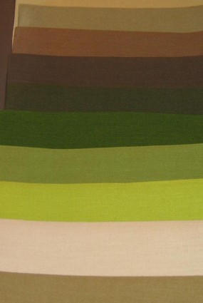 Green fabric: Charlotte Moss – C’EST INSPIRÊ™ – A Spectrum of Color