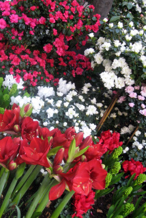 Flowers: Charlotte Moss – C’EST INSPIRÊ™ – A Spectrum of Color