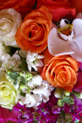 Flowers: Charlotte Moss – C’EST INSPIRÊ™ – A Spectrum of Color