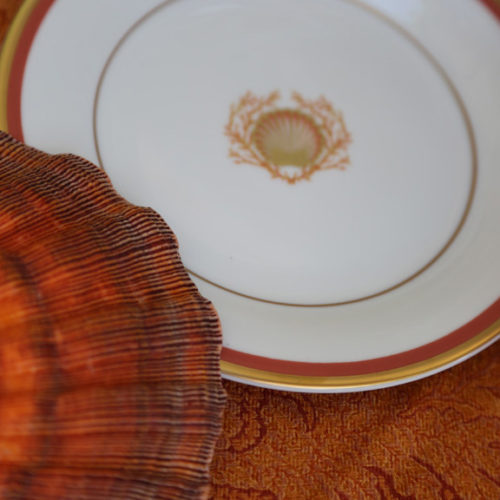 Charlotte Moss: shell dinner plate