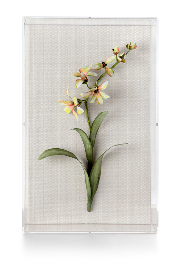 Tommy Mitchell Narcissus December Birth Flower Wall Art, 54% OFF