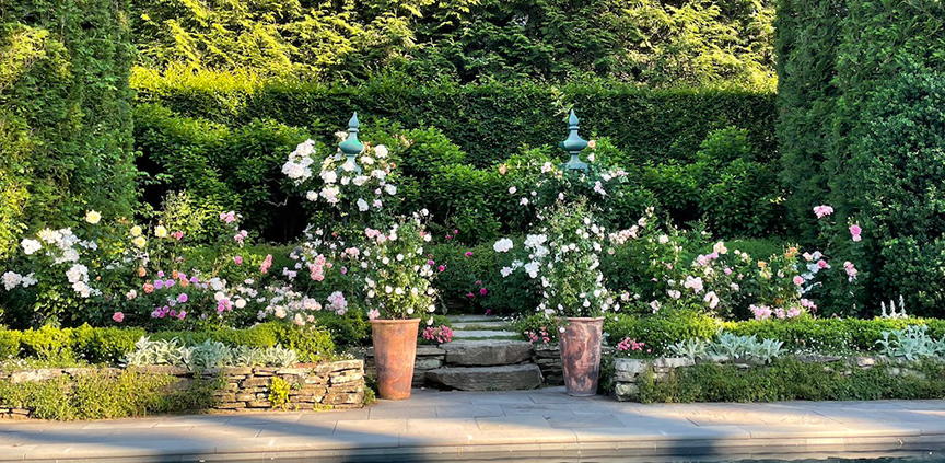 Charlotte Moss' Garden Roses