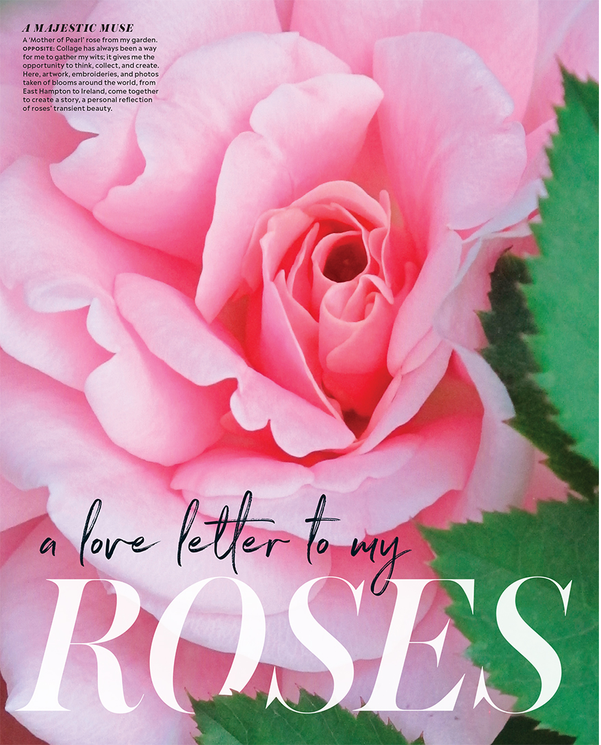 Veranda: Charlotte Moss' Love Letter to Roses feature